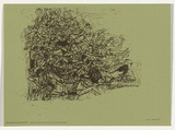 Artist: b'Whiteley, Brett.' | Title: b'Meeting Point' | Date: 1970 | Technique: b'offset-lithograph, printed in black ink, from one plate' | Copyright: b'This work appears on the screen courtesy of the estate of Brett Whiteley'