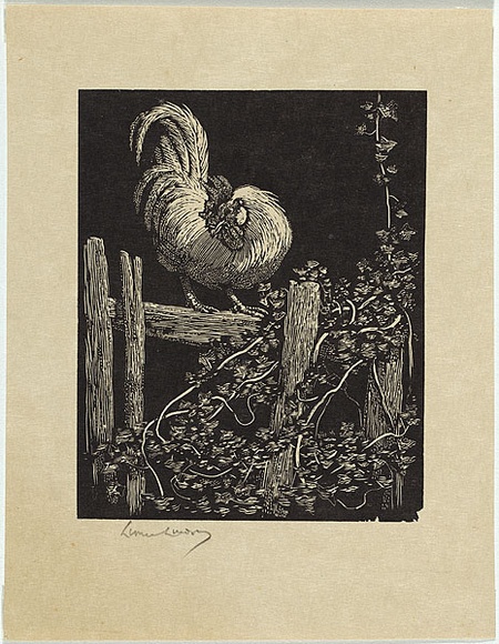 Artist: b'LINDSAY, Lionel' | Title: b'Rooster on fence' | Date: 1923 | Technique: b'wood-engraving, printed in black ink, from one block' | Copyright: b'Courtesy of the National Library of Australia'