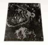 Artist: b'SHEARER, Mitzi' | Title: b'not titled' | Technique: b'etching and aquatint, printed in black ink, from one plate'