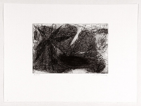 Artist: b'LOANE, John' | Title: b'not titled.' | Date: 1988 | Technique: b'etching, printed in black ink, from one plate' | Copyright: b'This work appears on the screen courtesy of the artist'