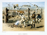 Title: Cattle branding | Date: 1865 | Technique: lithograph, printed in colour, from multiple stones