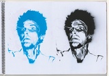Title: Chickenpox | Date: 2003-2004 | Technique: stencils, printed with colour aerosol paint, from one stencil