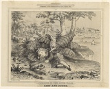 Title: Picnicing in New South Wales. Lost and Found | Date: October 1874 | Technique: transfer lithograph, printed in colour, from two stones