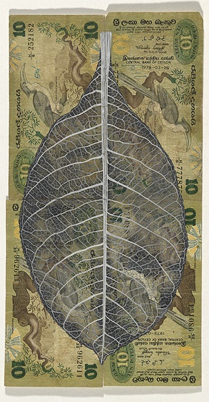 Artist: b'HALL, Fiona' | Title: b'Terminalia belerica - Bulu (Ceylon currency)' | Date: 2000 - 2002 | Technique: b'gouache' | Copyright: b'\xc2\xa9 Fiona Hall'