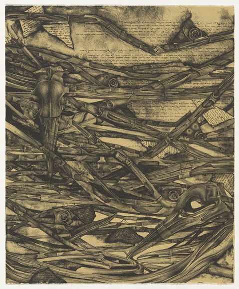 Artist: b'Burgess, Rachel.' | Title: b'not titled [inverted script and abstracted vegetation].' | Date: 1995 | Technique: b'lithograph, printed in black ink, from one stone'