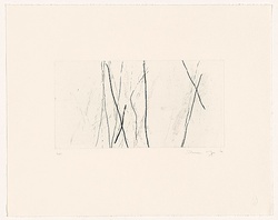Artist: b'MOSS, Damian' | Title: b'Trees 1' | Date: 2004 | Technique: b'etching, printed in black ink, from one plate'