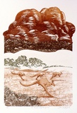 Artist: b'GRIFFITH, Pamela' | Title: b'The great red kangaroo' | Date: 1988 | Technique: b'etching and aquatint, printed in colour, from multiple plates' | Copyright: b'\xc2\xa9 Pamela Griffith'