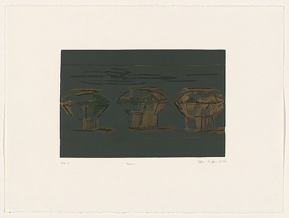 Artist: b'Clement, Isobel.' | Title: b'Present' | Date: 1996, 23 August | Technique: b'linocut, printed in colour, from four blocks'