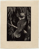 Artist: LINDSAY, Lionel | Title: The Kookaburra | Date: 1923 | Technique: wood-engraving, printed in black ink, from one block | Copyright: Courtesy of the National Library of Australia