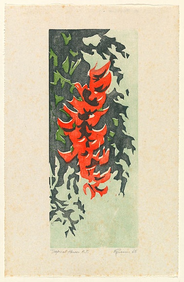 Artist: b'EWINS, Rod' | Title: b'Tropical flower.' | Date: 1965 | Technique: b'woodcut, printed in colour, from three English maple plankes'