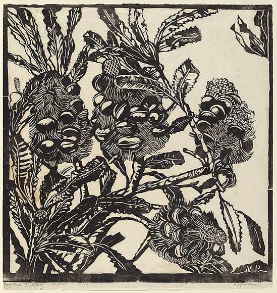 Artist: PRESTON, Margaret | Title: Banksia cobs | Date: 1933 | Technique: woodcut, printed in black ink, from one block | Copyright: © Margaret Preston. Licensed by VISCOPY, Australia