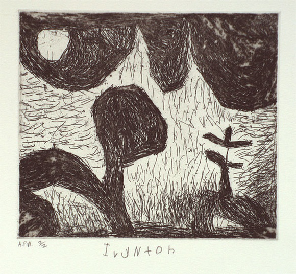 Artist: b'Janyka, Nixon Ivy.' | Title: b'not titled [dark boulder-like forms made up of dense lines]' | Date: 1997, February | Technique: b'etching, printed in black ink, from one plate'