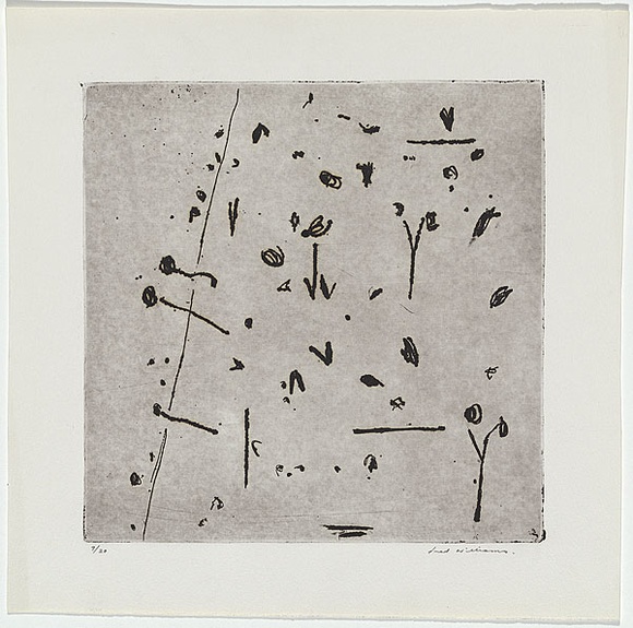 Artist: b'WILLIAMS, Fred' | Title: b'Hillside number 2.' | Date: 1965-66 | Technique: b'etching, flat biting, drypoint and mezzotint rocker, printed in black ink, from one zinc plate' | Copyright: b'\xc2\xa9 Fred Williams Estate'