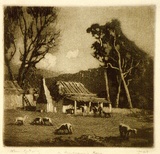 Artist: b'LINDSAY, Lionel' | Title: bThe Bushranger's house | Date: 1925 | Technique: b'aquatint, printed in brown ink, from one plate' | Copyright: b'Courtesy of the National Library of Australia'