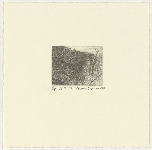 Artist: b'Robinson, William.' | Title: b'Springbrook 3' | Date: 1999 | Technique: b'etching, printed in brown ink, from one plate'