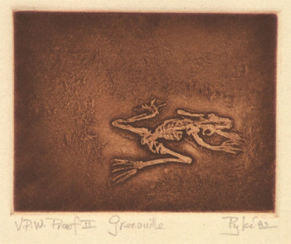 Artist: b'Stuart, Guy.' | Title: b'Grenouille' | Date: 1982 | Technique: b'etching and aquatint, printed in sepia ink, from one plate'