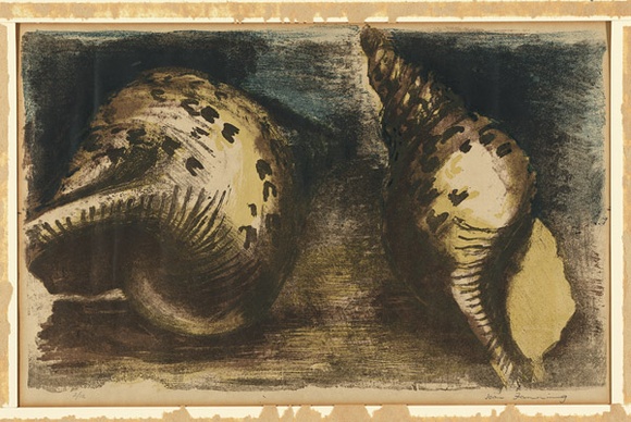 Artist: b'Fanning, Joan.' | Title: b'Sea Shells' | Date: c. 1950s | Technique: b'lithograph, printed in colour, from multiple stones'