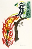 Artist: b'Brash, Barbara.' | Title: b'Red Bird of Paradise.' | Date: 1965 | Technique: b'screenprint, printed in colour, from eight stencils'