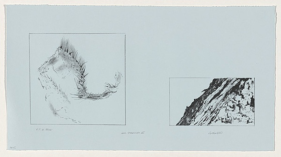 Artist: b'Bird, Cynthia.' | Title: b'Cell structure II' | Date: November 1986 | Technique: b'lithograph, printed in black ink, from two stones'