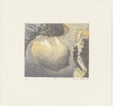 Artist: b'Robinson, William.' | Title: b'Cloud' | Date: 1992 | Technique: b'lithograph, printed in colour, from multiple plates'