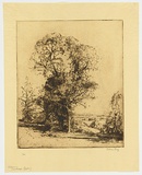 Artist: b'LONG, Sydney' | Title: b'Autumn landscape' | Date: 1920 | Technique: b'line-etching, printed in brown ink with plate-tone, from one copper plate' | Copyright: b'Reproduced with the kind permission of the Ophthalmic Research Institute of Australia'