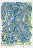 Artist: b'MEYER, Bill' | Title: b'Bush study blue' | Date: 1987 | Technique: b'screenprint, printed in ten colours, from one direct emulsion reduction screen and one hand drawn charcoal on acetate indirect photo screen' | Copyright: b'\xc2\xa9 Bill Meyer'