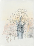 Artist: b'Bradhurst, Jane.' | Title: b'Ancient boab, Hidden Valley, Kimberley.' | Date: 1997 | Technique: b'lithograph, printed in colour, from multiple stones; hand-coloured'