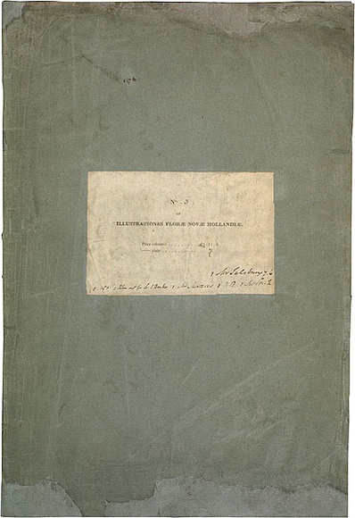 Artist: Bauer, Ferdinand. | Title: Folio. | Date: 1806-13 | Technique: black ink; letterpress