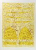 Artist: Buckley, Sue. | Title: The beehive. | Date: 1980 | Technique: woodcut, printed in colour, from multiple blocks; lithograph, printed in colour; screenprinted, printed in colour | Copyright: This work appears on screen courtesy of Sue Buckley and her sister Jean Hanrahan