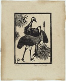 Artist: b'PRESTON, Margaret' | Title: b'Emus' | Date: 1923 | Technique: b'woodcut, printed in black ink, from one block' | Copyright: b'\xc2\xa9 Margaret Preston. Licensed by VISCOPY, Australia'