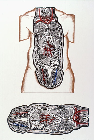 Artist: b'HANRAHAN, Barbara' | Title: b'not titled' | Date: 1966 | Technique: b'lithograph, printed in colour, from four plates'