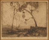 Artist: b'Benson, J.' | Title: b'Road near Canberra.' | Date: 1930s | Technique: b'etching and aquatint, printed in brown ink, from one plate'