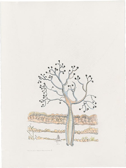 Artist: b'Bradhurst, Jane.' | Title: b'This is our land, celebrity boab, Kununurra.' | Date: 1997 | Technique: b'lithograph, printed in black ink, from one stone; hand-coloured in watercolour'