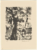 Title: Narrina Gorge | Date: 1982 | Technique: lithograph, printed in black ink, from one stone