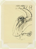 Artist: b'Whiteley, Brett.' | Title: b'Swinging monkey [1].' | Date: 1965 | Technique: b'screenprint, printed in colour, from three screen' | Copyright: b'This work appears on the screen courtesy of the estate of Brett Whiteley'