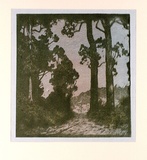 Artist: b'Reynolds, Frederick George.' | Title: b'(Forest clearing)' | Date: c.1931 | Technique: b'woodblock, printed in colour, from multiple blocks'