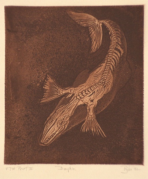 Artist: Pyke, Guelda | Title: Dauphin | Date: 1982 | Technique: etching and aquatint, printed in sepia ink, from one plate