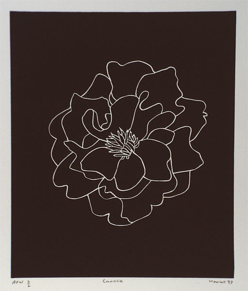 Artist: b'Marshall, John.' | Title: b'Camellia' | Date: 1997 | Technique: b'linocut, printed in black ink, from one block'