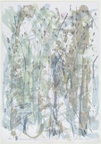 Artist: b'MEYER, Bill' | Title: b'Holcombe Forest II' | Date: 1988 | Technique: b'screenprint, printed in colour, from multiple stencils' | Copyright: b'\xc2\xa9 Bill Meyer'