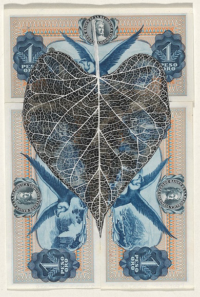 Artist: b'HALL, Fiona' | Title: b'Ipomoea batatas - Sweet potato (Colombian currency)' | Date: 2000 - 2002 | Technique: b'gouache' | Copyright: b'\xc2\xa9 Fiona Hall'