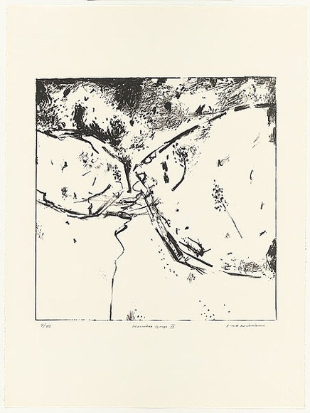 Artist: b'WILLIAMS, Fred' | Title: b'Werribee Gorge II' | Date: 1977-78 | Technique: b'lithograph, printed in black ink, from one plate' | Copyright: b'\xc2\xa9 Fred Williams Estate'