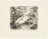 Artist: BOYD, Arthur | Title: Lying nude and bird. | Date: (1962-63) | Technique: etching, printed in black ink, from one plate | Copyright: Reproduced with permission of Bundanon Trust