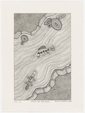 Artist: Atkinson, Rebecca. | Title: Spirit of the bush | Date: 2000, June | Technique: etching, printed in black ink, from one plate