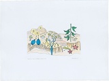 Artist: b'Bradhurst, Jane.' | Title: b'Kapok tree, boab and birdflower, Kimberley WA.' | Date: 1997 | Technique: b'lithograph, printed in colour, from multiple stones; hand-coloured'