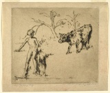 Artist: b'Darbyshire, Beatrice.' | Title: b'The Jersey calf.' | Date: c.1920 | Technique: b'drypoint, printed in warm black ink, from one copper plate'