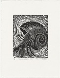 Artist: Lindsay (Sale), Joe. | Title: Kokosu / Hermit crab | Date: 1995 | Technique: woodcut, printed in black ink, from one block