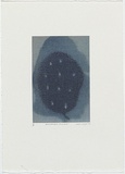 Artist: Wright, Helen. | Title: (Hazy blue flower with white specks) | Date: 2000 | Technique: digital print, printed in colour, from digital file