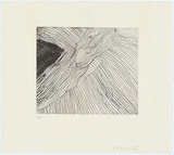 Artist: b'Nuggett, Amy.' | Title: b'Crocodile.' | Date: 1994 | Technique: b'etching, printed in black ink, from one plate'