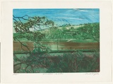 Artist: GRIFFITH, Pamela | Title: Picnic spot, Como | Date: 1981 | Technique: etching, aquatint printed in colour from two zinc plates | Copyright: © Pamela Griffith