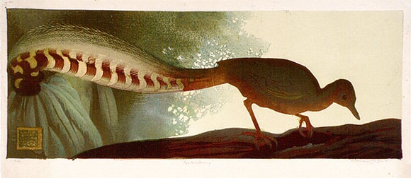 Artist: b'GRIFFIN, Murray' | Title: b'Lyre bird feeding' | Date: 1935 | Technique: b'linocut, printed in colour, from multiple blocks'